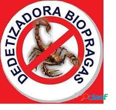 DEDETIZAÇÂO NO PAPICU BIOPRAGAS (85)3467 5061 / 98753 0271