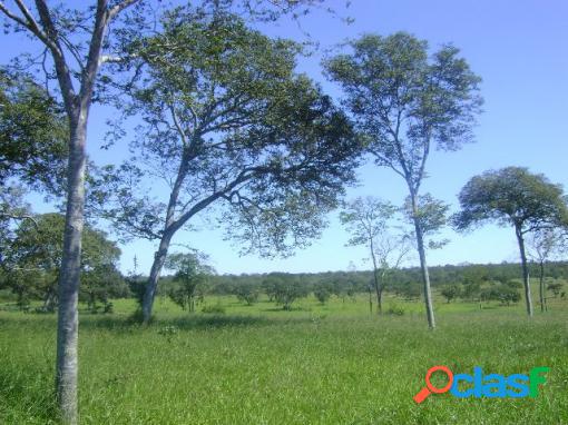 Fazenda no município de ubaí/mg - fazenda a venda no bairro zona rural - ubaí, mg - ref.: li89019