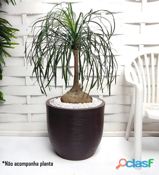 Vaso de planta frutífera design moderno resina plastica 45x50