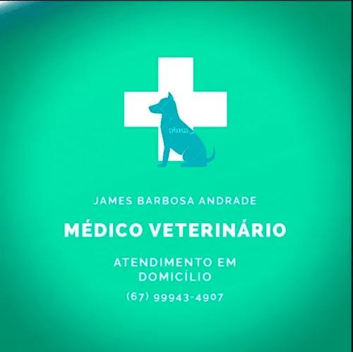 Médico veterinário