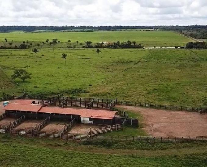 Fazenda para soja e pecuária em rondônia