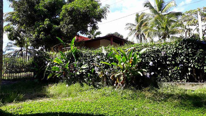 Casa para aluguel Anual na Ribeirinha