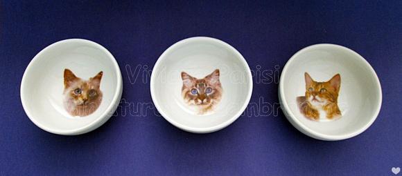 Comedouro de porcelana cat