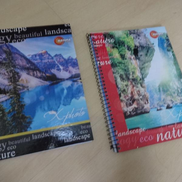 Kit 2 caderno capa dura 10 matérias