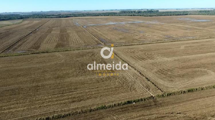 Fazenda/sítio/chácara/haras à venda no Zona Rural -