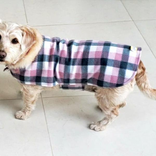 Roupa para cachorro