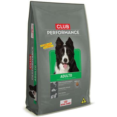 Ração royal canin club performance para cães adultos