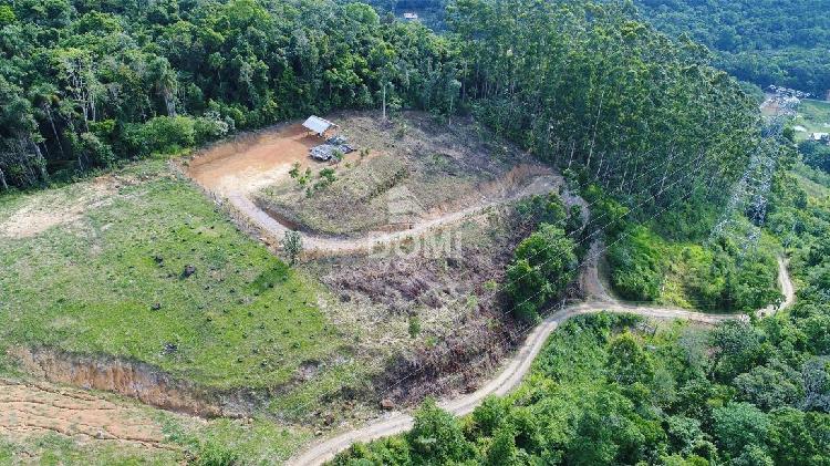 Fazenda/sítio/chácara/haras à venda no bela aliança -