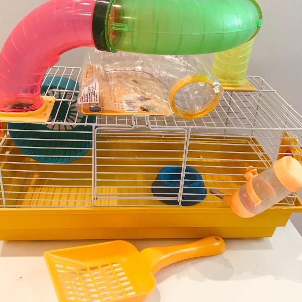 Kit para hamster