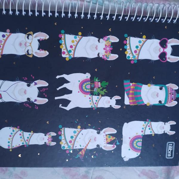 Caderno lhama 10 materias