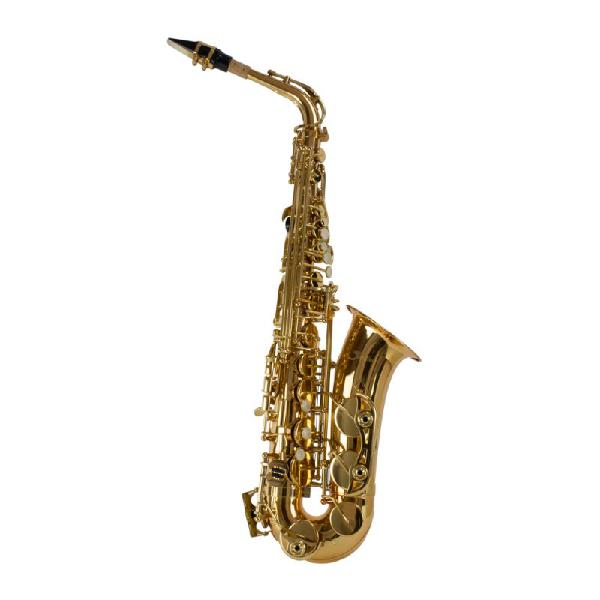 Saxofone Alto Shelter SGFT6430L Laqueado Dourado Afinação