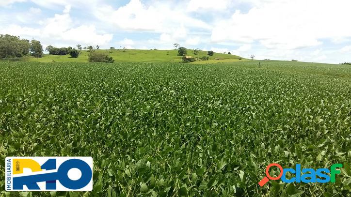 Fazenda a Venda Área de 60 Alqueires Município de Reserva