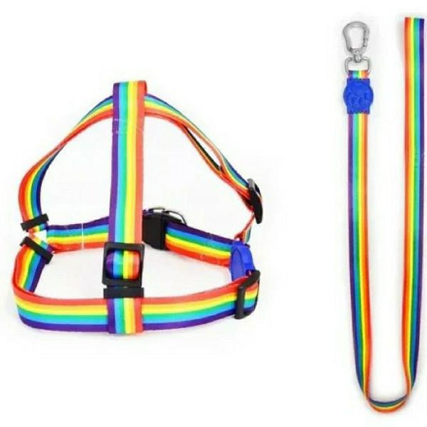 Peitoral + guia para cães filhotes porte mini arco-íris -