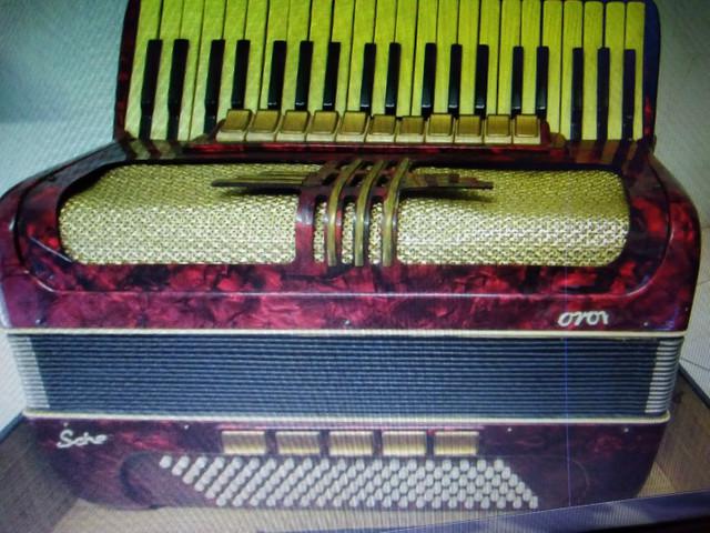 Acordeon gaita sanfona 120 baixos weltermeister