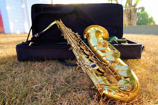 Sax tenor michael 【 OFERTAS Fevereiro 】