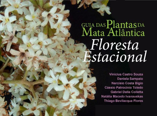 Livro guia das plantas da mata atlântica: floresta