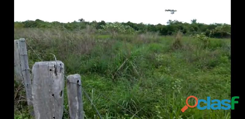 Fazenda em Santa Fe Tocantins arrendo