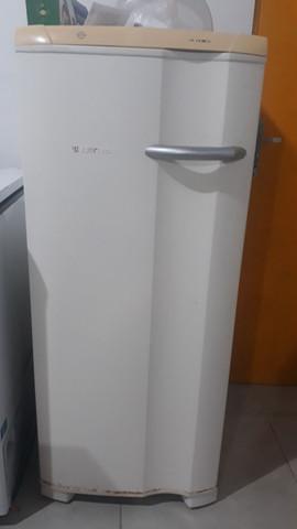 Freezer Vertical Electrolux