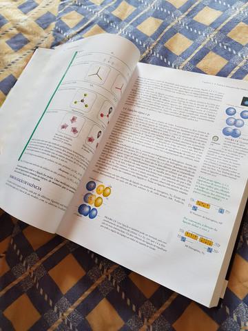 Atkins - Princípios de Química