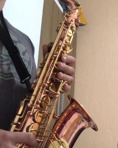 Sax alto yanagisawa rose! r$ 2,500