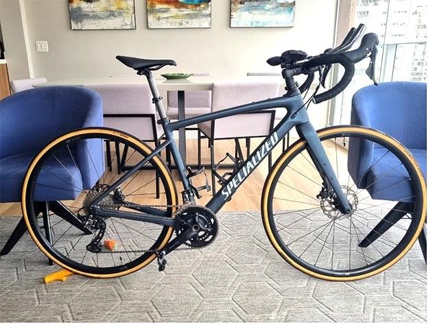 Specialized diverge sport carbon