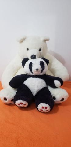 Urso polar e urso panda