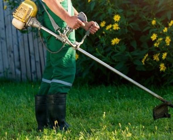 Serviço de jardinagem (limpeza, manutenção) e aluguel de