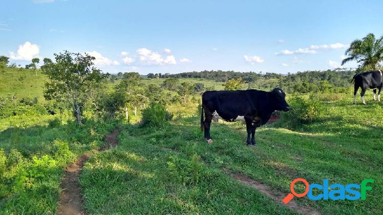 Fazenda 1.000 Hectares para Pecuária Em Dom Aquino - Mato Grosso