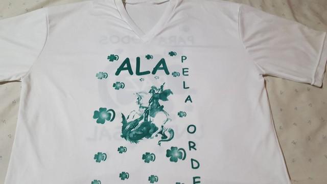 Camiseta Camisa Verde e Branco G