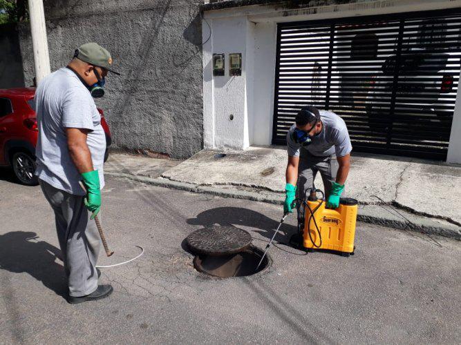 Dedetização e controle de pragas