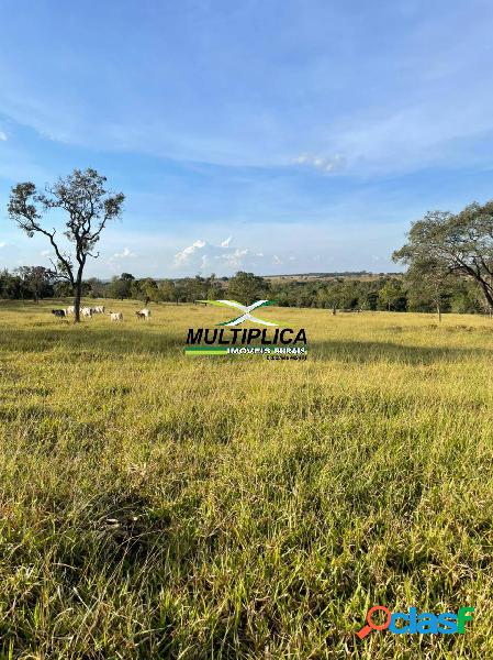 Fazenda 145 ha, R$ 35.123,96 ha, Prata MG, Agricultura Pecuária