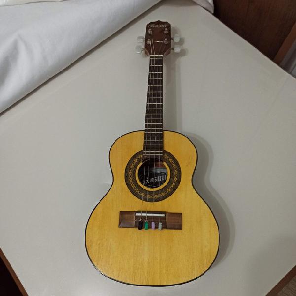 Cavaquinho rozini estudante