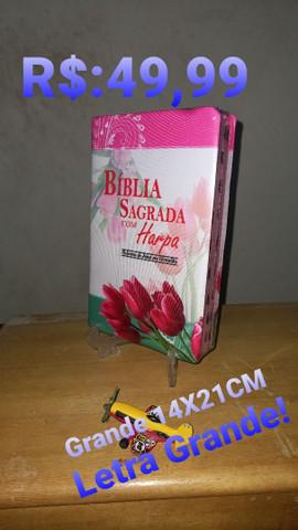 Biblia Feminina Mulher- Tulipa Luxo c/Harpa