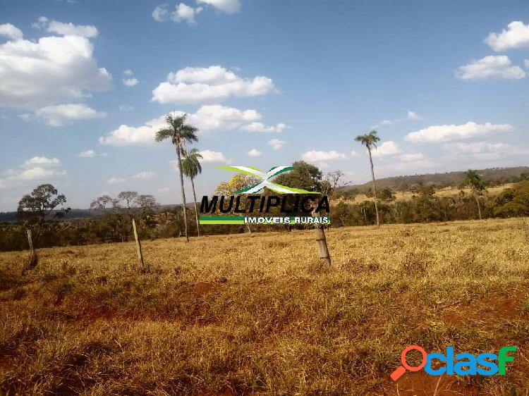 Fazenda 301 ha, r$ 30.991 por ha, campina verde mg, agricultura e pecuária