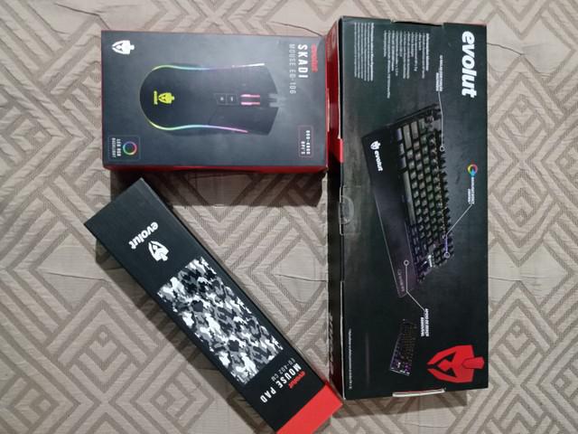 Kit pra Pc game EVOLUT