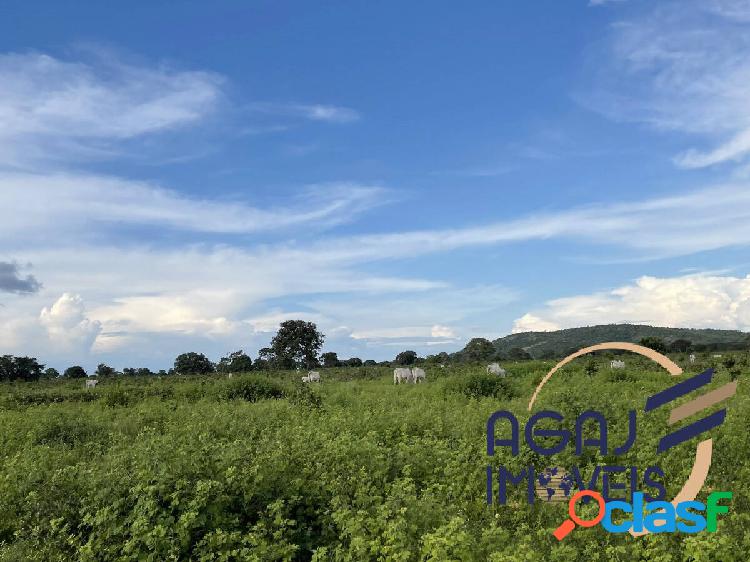 Fazenda em cocalinho-mt | 120 alq | dupla aptidão