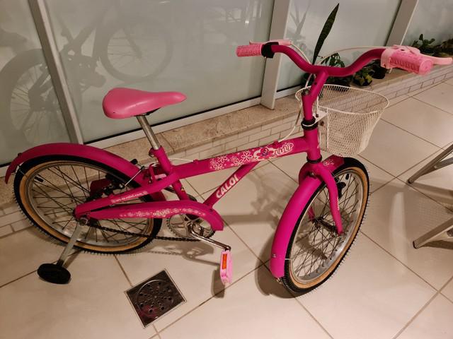 Bicicleta caloi feminina aro 20