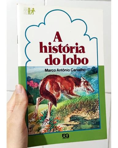 Livro Infantil A História do Lobo Leitura Para Crianças