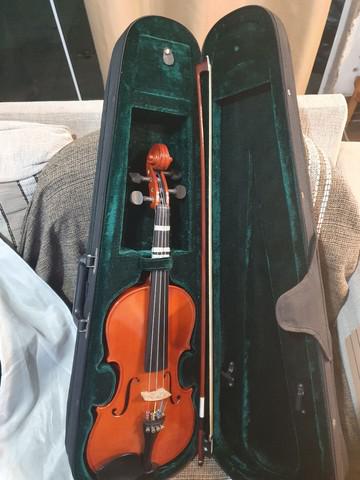 Violino