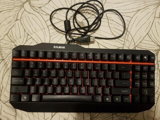 Teclado mecânico zalman zm-k500 switch kaihl red