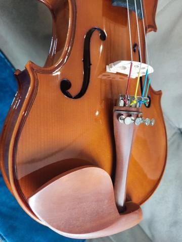 Violino Eagle VE 441