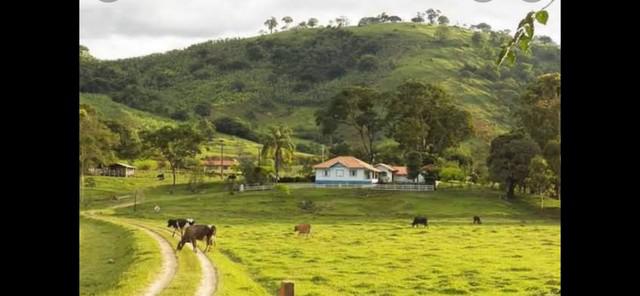 Peão / trabalhador rural