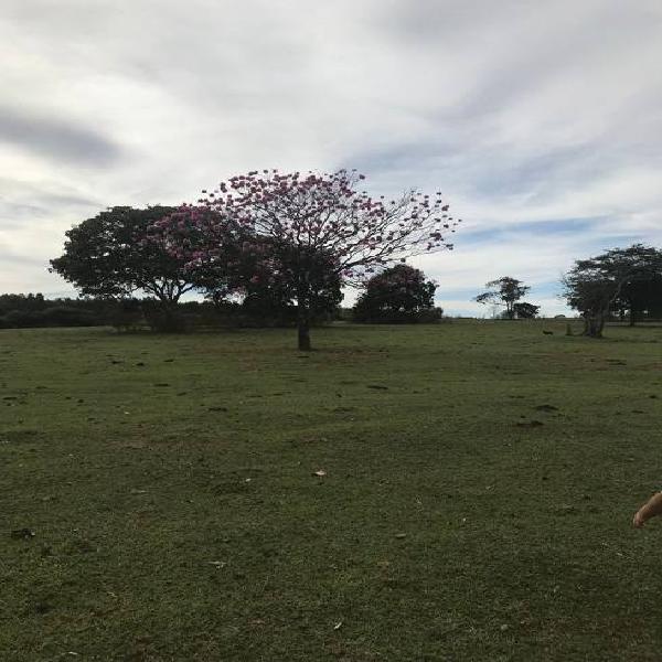 Fazenda muito bem localizada. No município de