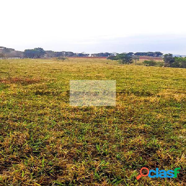 Fazenda com 42,65 hectares de terras de cultura / Cidade São Francisco