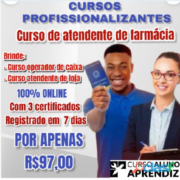 Curso profissionalizante