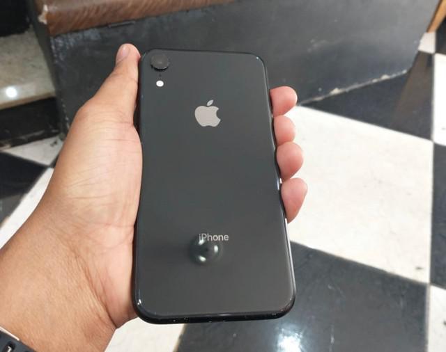 iPhone XR impecável (LEIA O ANÚNCIO)