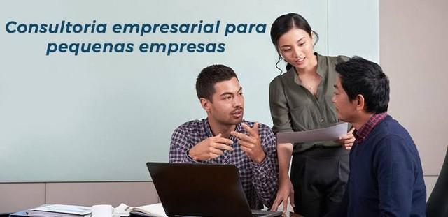 Consultor free lancer - gestão de micro empresa