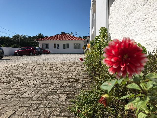 Alugo apartamento de dois quartos no bairro Morro das Pedras