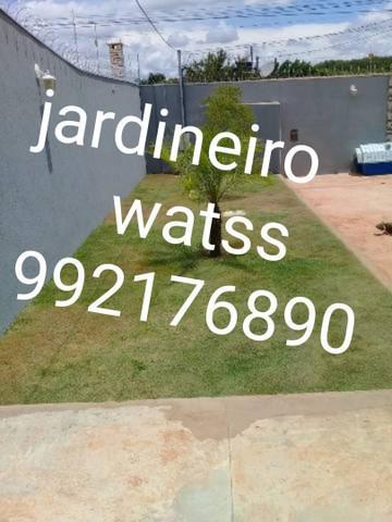 Jardineiro 50$ atendimento todos os dias