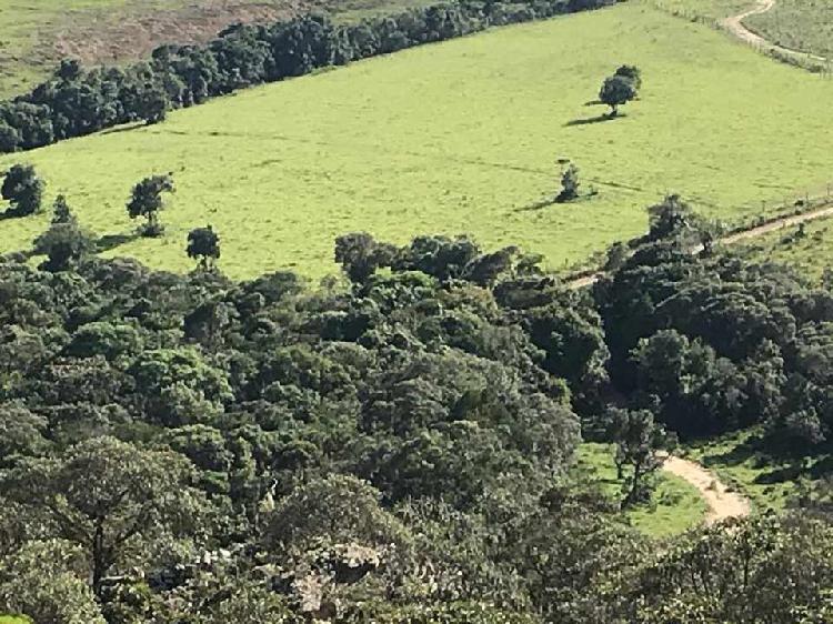 Fazenda em cruzília mg